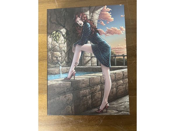 Sophia HC Box Silvester uitgave