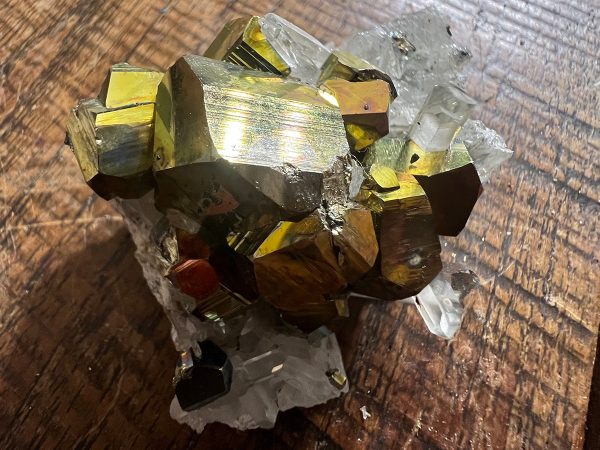 Pyriet Regenboog (13) van 92 gram