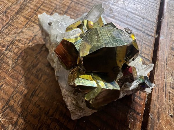 Pyriet Regenboog (13) van 92 gram