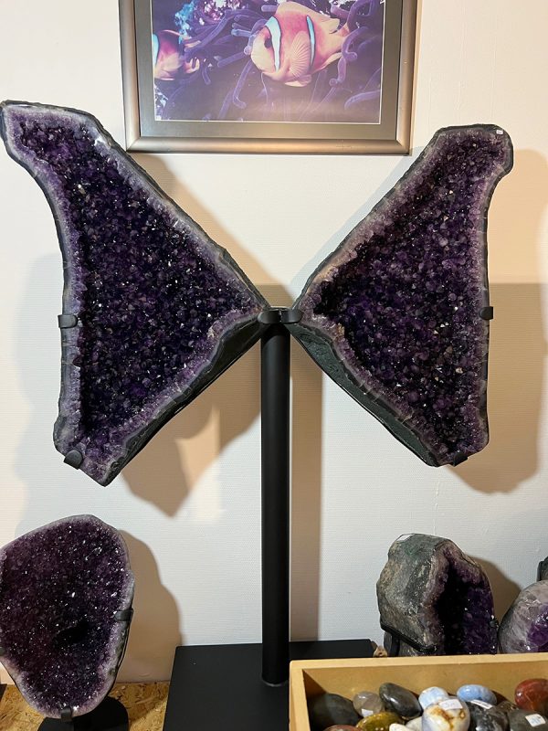 Amethist vlinder (3) van 129 kilo