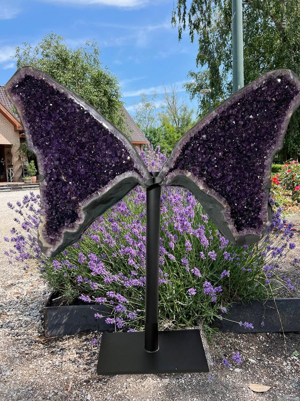 Amethist vlinder (4) van 126 kilo