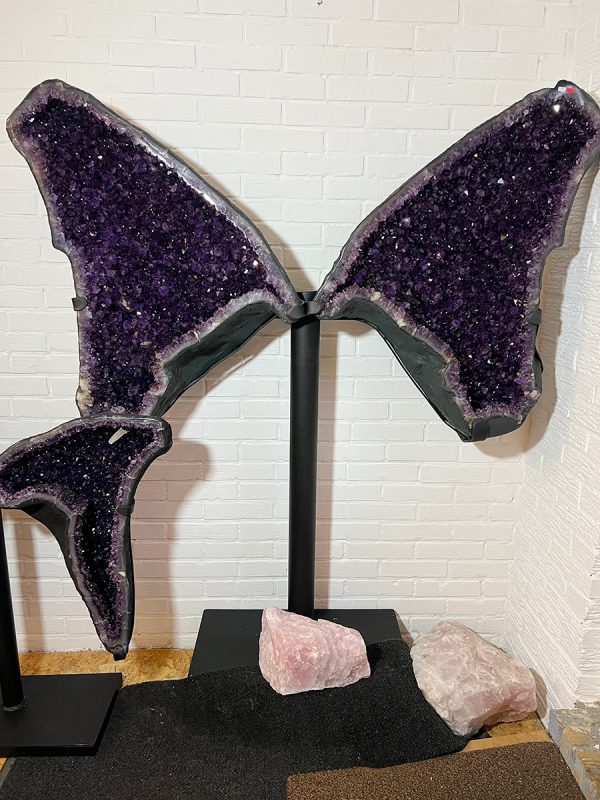 Amethist vlinder (4) van 126 kilo